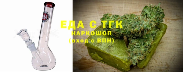 хмурый Алзамай
