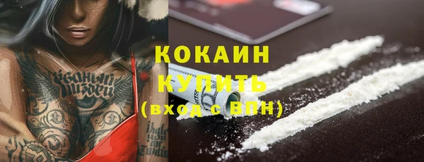 амф Арсеньев