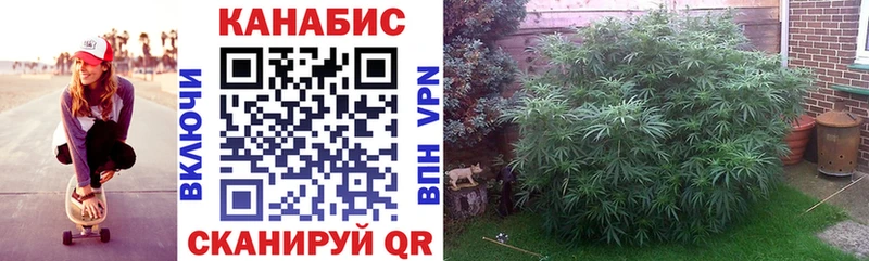 Шишки марихуана тримм  Лянтор 